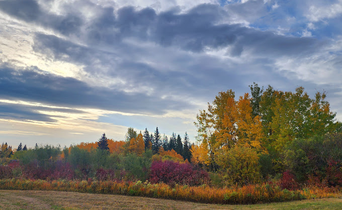 Description of the image