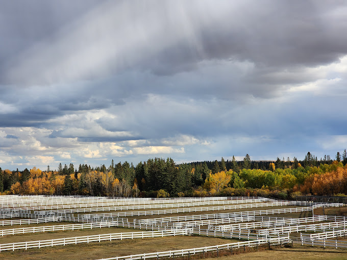 Description of the image