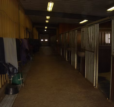 Description of the image